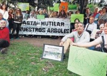 Basta de mutilar árboles – Entrevista a María Angélica Di Giácomo