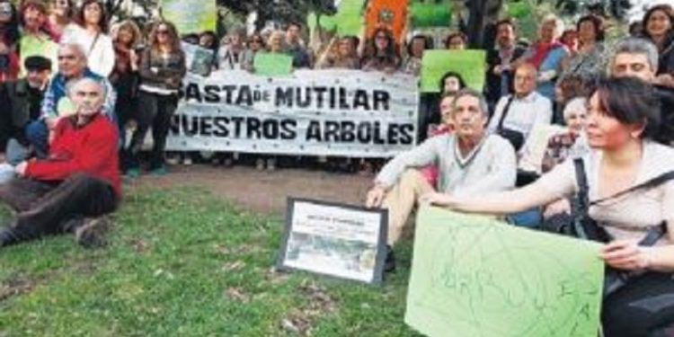 Basta de mutilar árboles – Entrevista a María Angélica Di Giácomo