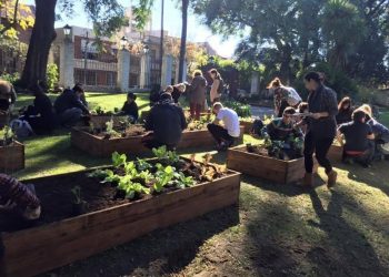 Agricultura urbana en la Ciudad – Entrevista a Valeria Churba