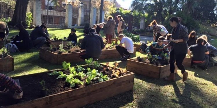 Agricultura urbana en la Ciudad – Entrevista a Valeria Churba