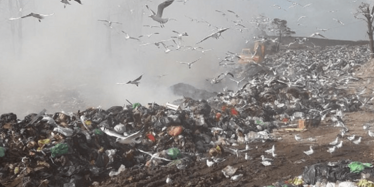 Basural colapsado: afirman que el predio está en su límite operativo
