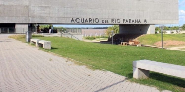El acuario afina detalles y abrirá sus puertas en febrero