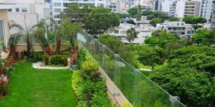 Patrimonio y Urbanismo: Terrazas verdes y jardines verticales