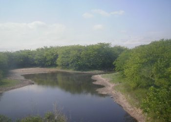 Un nuevo mapa del agua permitirá racionalizar su uso en el territorio bonaerense