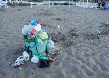Analizan la contaminación del frente costero y el sistema de pluviales