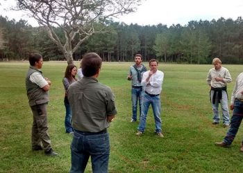 Ingeniería en ambiente: la carrera para quienes aman tanto la ciencia como la naturaleza