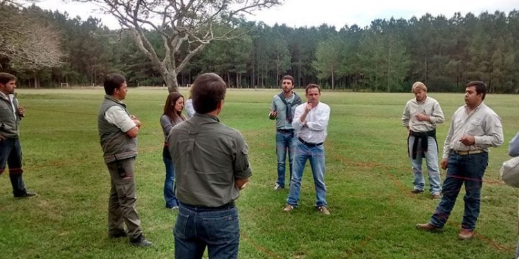 Ingeniería en ambiente: la carrera para quienes aman tanto la ciencia como la naturaleza