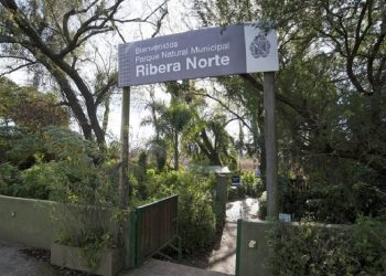 Ribera Norte de San Isidro: una reserva natural muy cerca del caos urbano