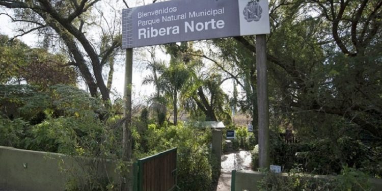 Ribera Norte de San Isidro: una reserva natural muy cerca del caos urbano