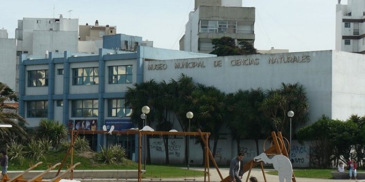 Avanza la obra de ampliación del Museo de Ciencias Naturales “Lorenzo Scaglia”