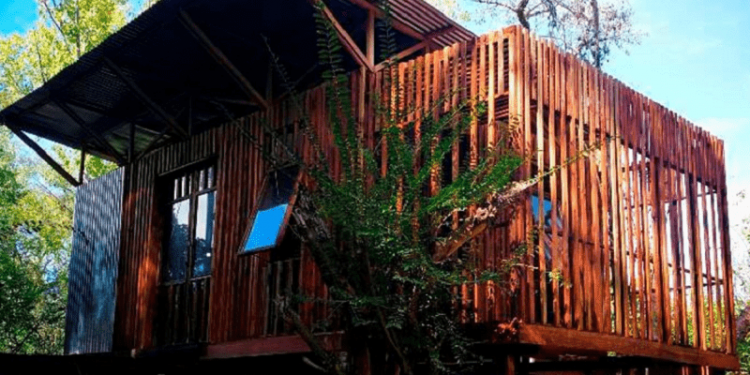 Alumnos de Arquitectura construyen viviendas en el Delta de Tigre