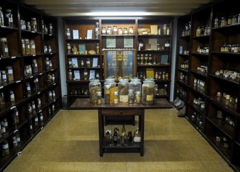 Los secretos del museo que tiene más de 400.000 plantas medicinales