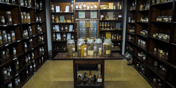 Los secretos del museo que tiene más de 400.000 plantas medicinales