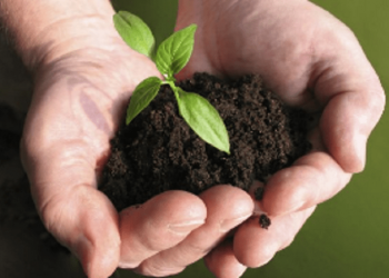 Nueva Ley de Impacto Ambiental