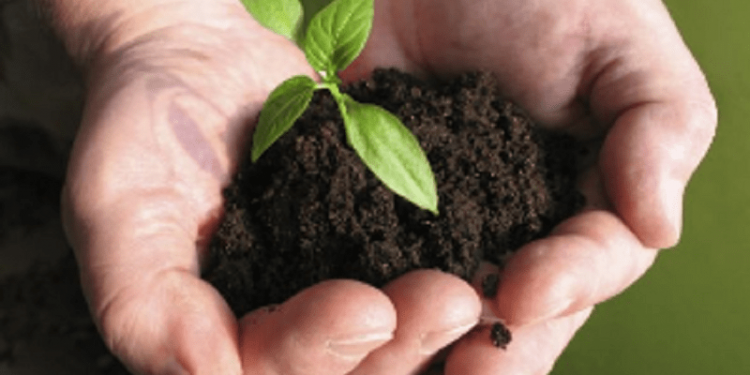 Nueva Ley de Impacto Ambiental