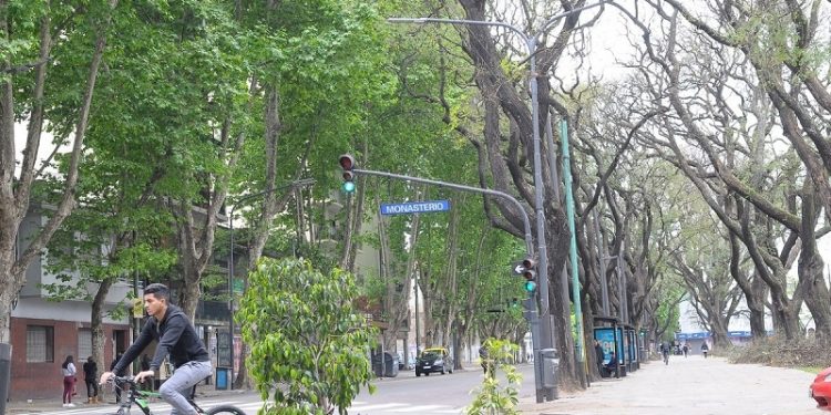 “Túneles” de árboles: cinco cielos de hojas verdes para soñar en Capital