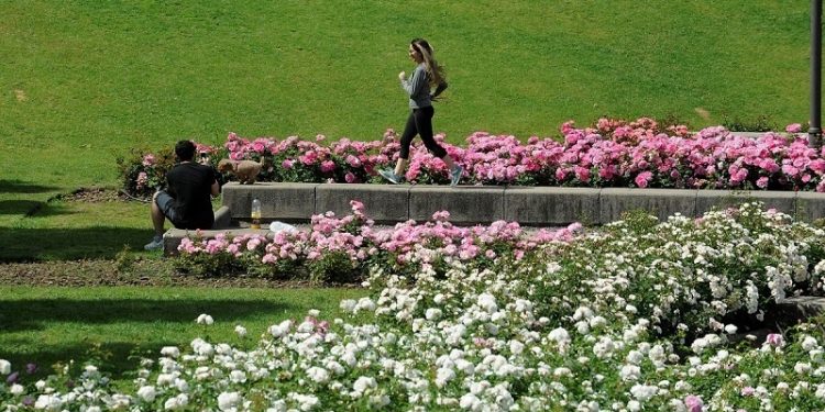 Un Rosedal “secreto” en Capital