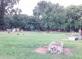 Espacio verde descartable