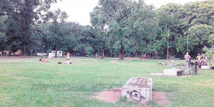 Espacio verde descartable