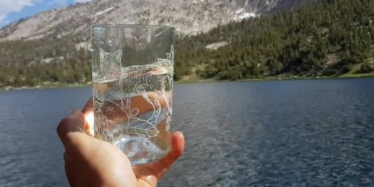 Productos de diseño con botellas recicladas, la propuesta de jóvenes marplatenses