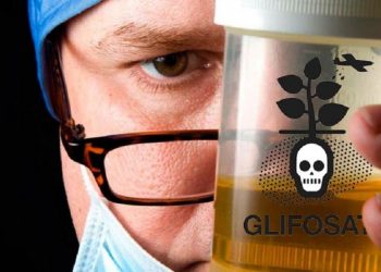 Encontraron glifosato en la orina del 90% de los Marplatenses