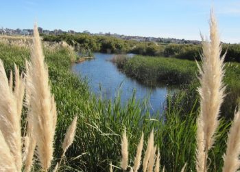 La Provincia pondrá en valor la Reserva Natural del Puerto