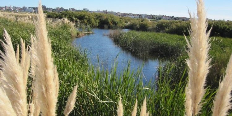 La Provincia pondrá en valor la Reserva Natural del Puerto