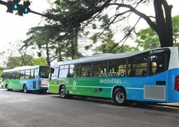 Presentaron las primeras unidades de colectivos que funcionarán con biodiesel en la Ciudad