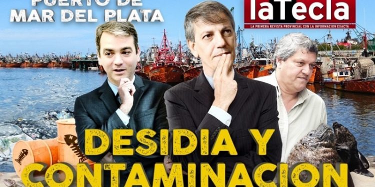 Puerto Mar del Plata: desidia y contaminación