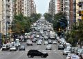 En la ciudad hay un auto cada dos personas y es cada vez más complicado estacionar