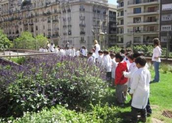 Techos verdes, terrazas jardín