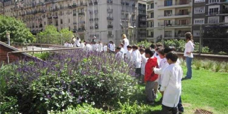 Techos verdes, terrazas jardín