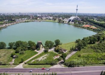 De basurero a reserva ecológica: el parque donde preservan especies que hacía tiempo no se veían en la Ciudad