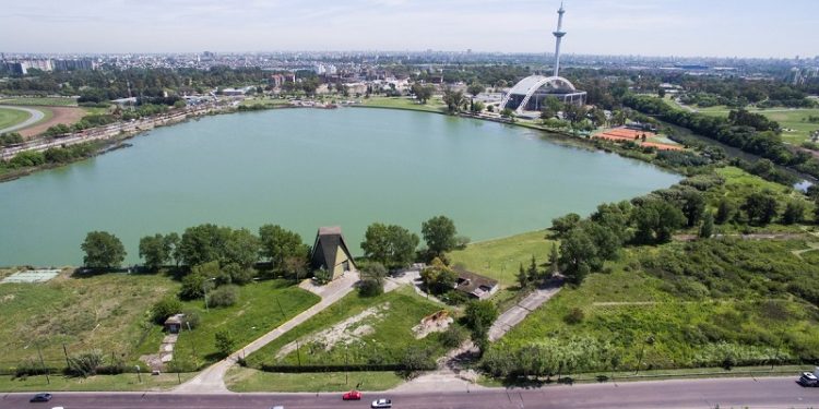 De basurero a reserva ecológica: el parque donde preservan especies que hacía tiempo no se veían en la Ciudad