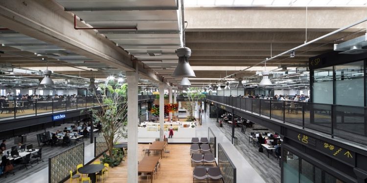 Espacios laborales diseñados según criterios científicos