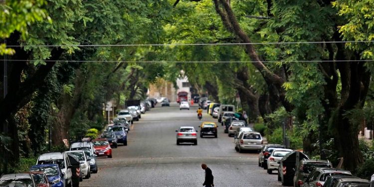 Ranking de sombra: conocé cuántos árboles tiene tu barrio