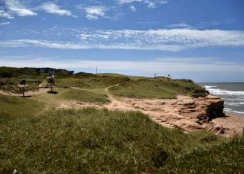 El proyecto para crear un parque ecológico en el ex Rancho Móvil
