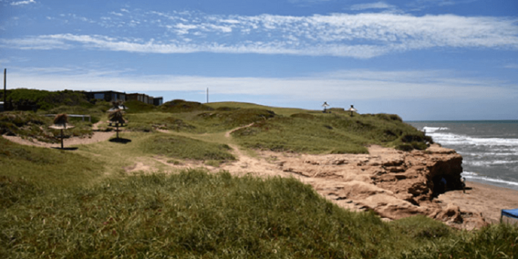 El proyecto para crear un parque ecológico en el ex Rancho Móvil
