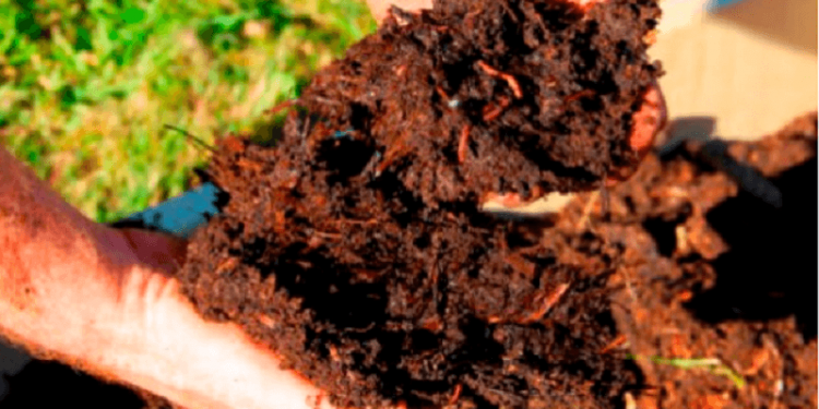 Para promover el compostaje comunitario