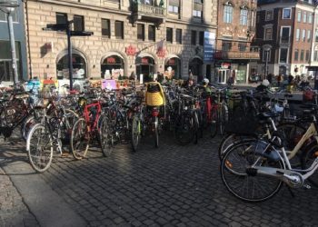 Economía “verde”: el modelo que Dinamarca quiere exportar a la Argentina