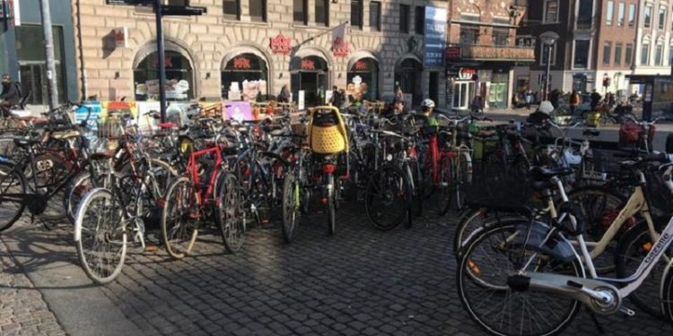 Economía “verde”: el modelo que Dinamarca quiere exportar a la Argentina