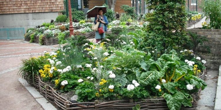 La Revolución de las huertas urbanas. Comida gratis y saludable para todos.