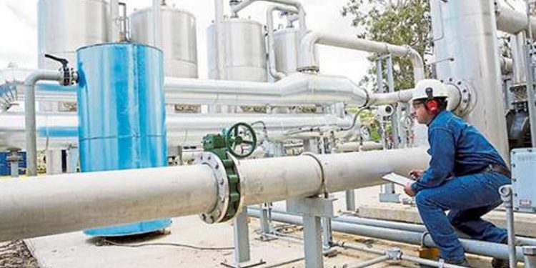 Otra planta de la Ceamse genera energía renovable con la basura