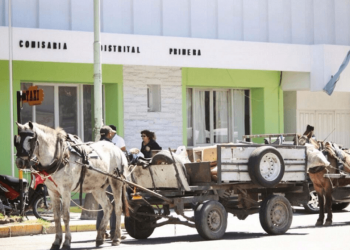 Nuevo revés para Arroyo en el Concejo: le rechazaron otro veto