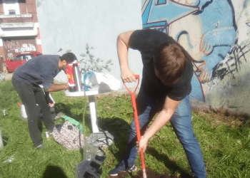 «Plantá un árbol», iniciativa del Socialismo para impulsar una Red de Hogares Verdes