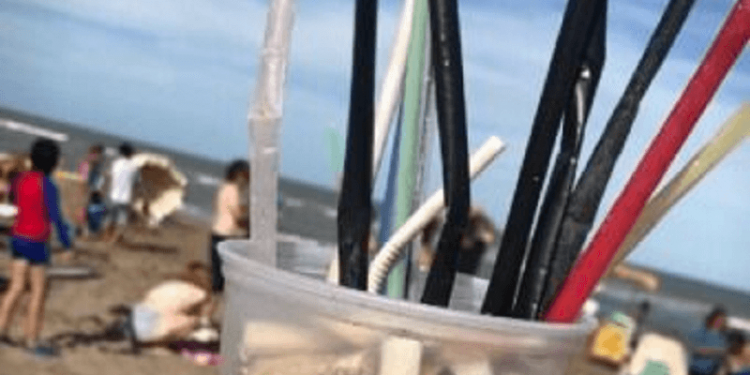 El Concejo aprobó un programa para reducir el uso de sorbetes y vasos plásticos