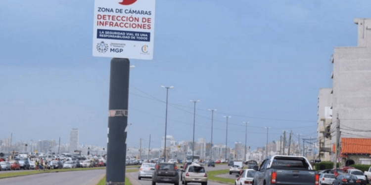 Ciudades 2030: Movilidad y seguridad vial en Mar del Plata
