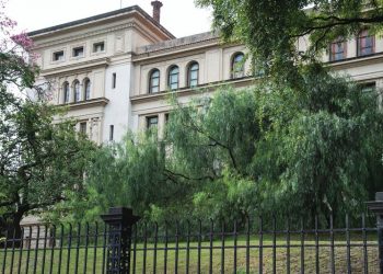 Conocé los árboles de la Ciudad que fueron testigos de la historia del país