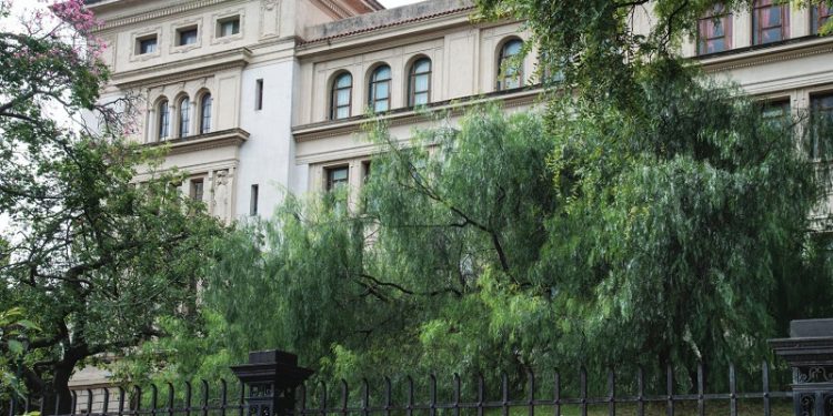 Conocé los árboles de la Ciudad que fueron testigos de la historia del país