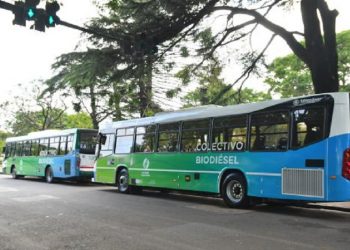Prueban colectivos a GNC